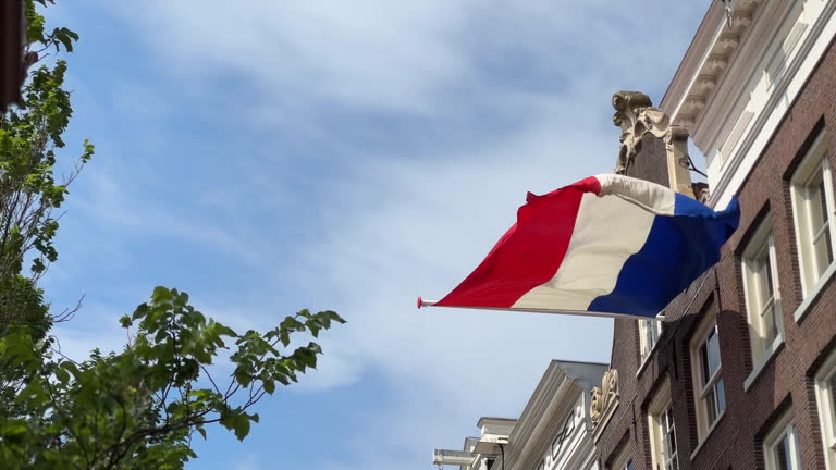 1Bo05Z81NxtMBK6bHPhvXAe9lgJpgIbpF