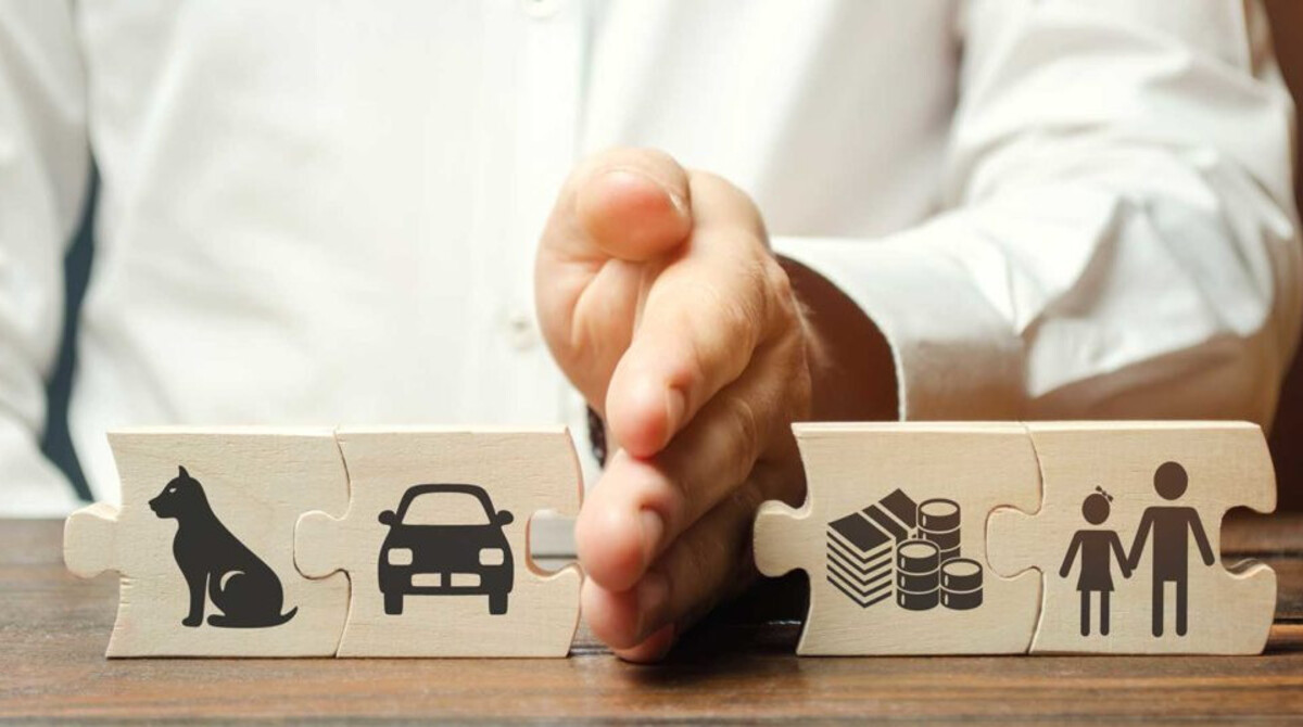 Division of property